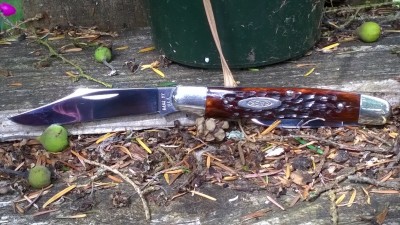 WP_20190628_056.jpg
