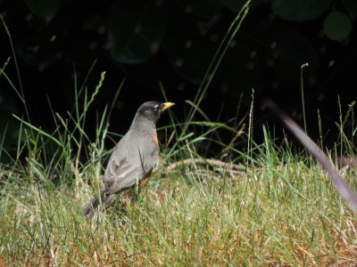 DSCN5962.JPG