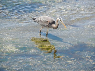 DSCN5768.JPG