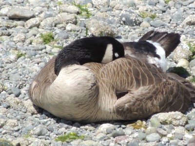 DSCN5776.JPG