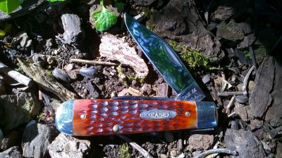 WP_20190701_028.jpg
