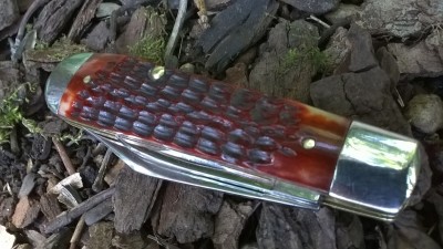WP_20190701_064.jpg