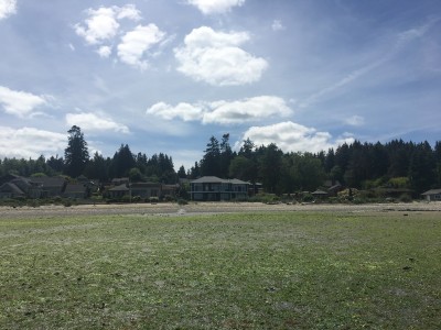 Taken at low tide, 140yds out