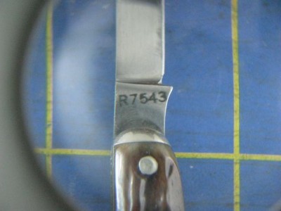 RemingtonPALR7543-4.JPG