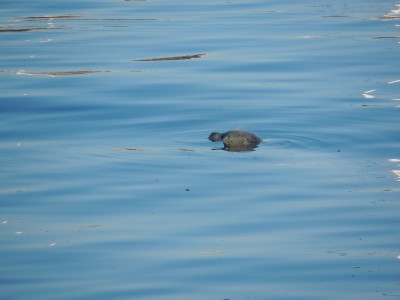 DSCN5940.JPG