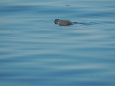DSCN5941.JPG