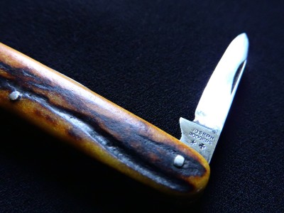 DSCN8479.JPG