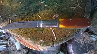WP_20180814_050.jpg
