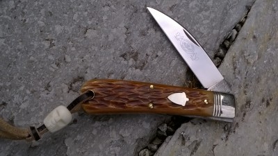 WP_20190705_017.jpg