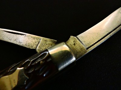 DSCN8646.JPG