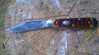 WP_20190627_147.jpg