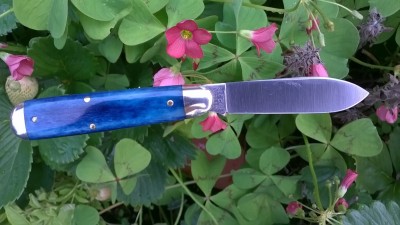 WP_20190708_028.jpg