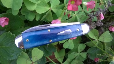 WP_20190708_013.jpg