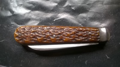 WP_20190709_018.jpg