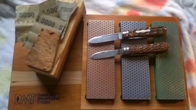 WP_20190709_123.jpg
