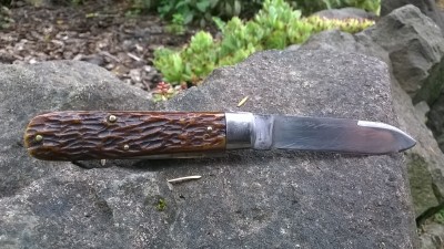 WP_20190710_010.jpg