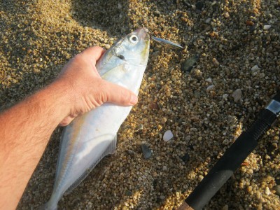 IMG_0722.JPG