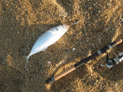 IMG_0720.JPG