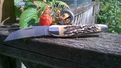 WP_20190713_043.jpg