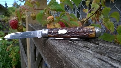 WP_20180702_003.jpg