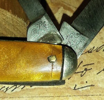 20190713_194557.jpg