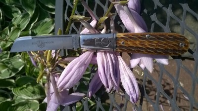 WP_20190714_003.jpg