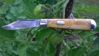 WP_20190713_009.jpg