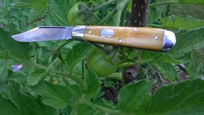 WP_20190713_020.jpg