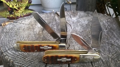 WP_20190716_017.jpg