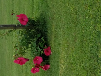 20190714_161427.jpg