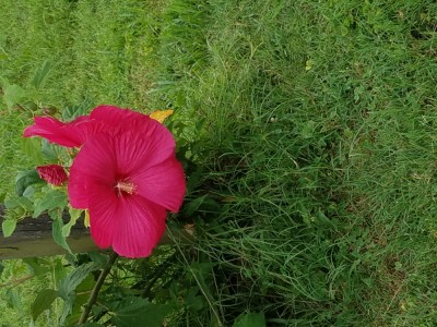 20190714_161441.jpg