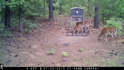 IMG_0011 (2).JPG