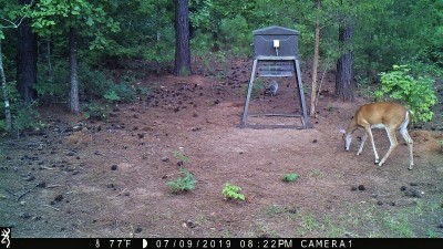 IMG_0066 (2).JPG