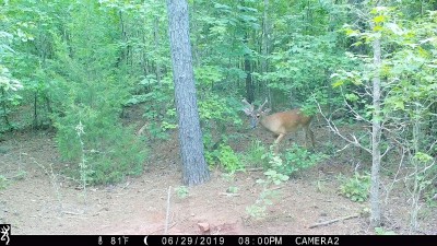 IMG_0032 (2).JPG