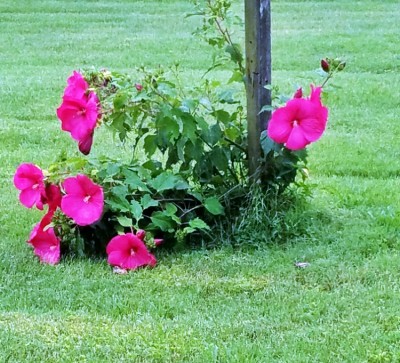 20190714_161427.jpg