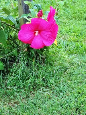 20190714_161441.jpg