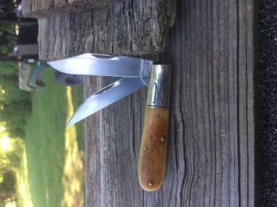 Pioneer bone 77 from the first run in 2014