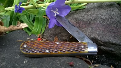 WP_20190717_131.jpg