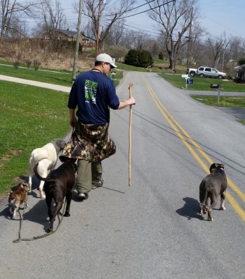 Pack walk