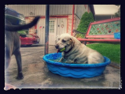 Murphy