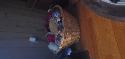 Murphy's toy basket!