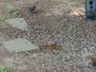 20190721_091304.jpg