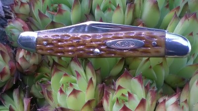 WP_20190625_092.jpg