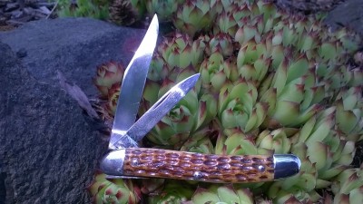 WP_20190625_066.jpg