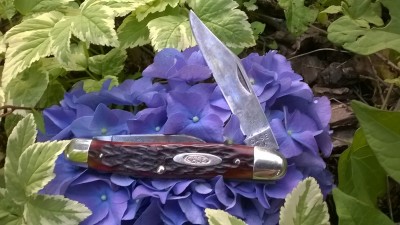 WP_20190714_026.jpg
