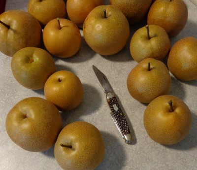 Asian Pears