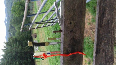 IMG_2019-07-22_15-41-41.jpeg