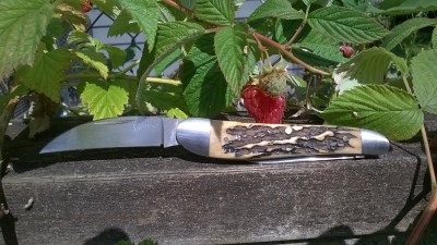 WP_20190713_031.jpg