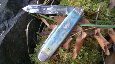 WP_20181114_008.jpg