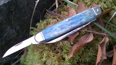 WP_20181114_056.jpg